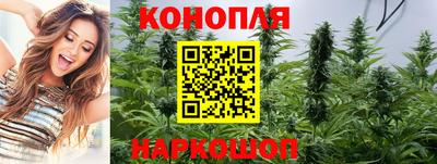 гашик Малоярославец