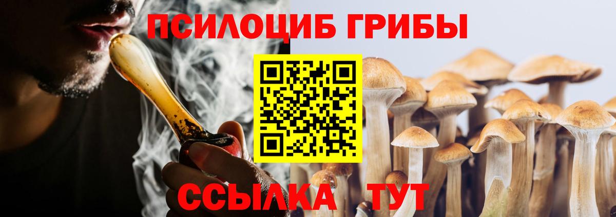 Псилоцибиновые грибы GOLDEN TEACHER Топки